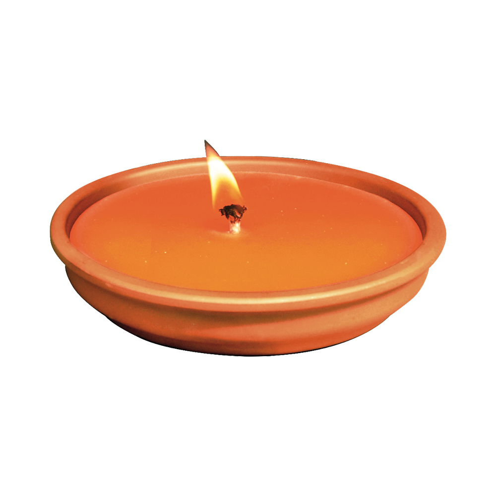 Zanza Tiger Citronella in Cotto 14 cm - 2 Pezzi
