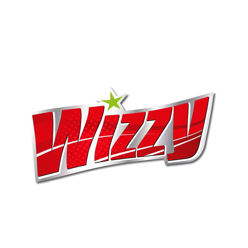 Spugna Doppia Azione WIZZY